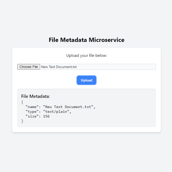 File Metadata Project Picture