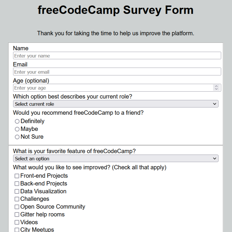 Survey Form Project Picture